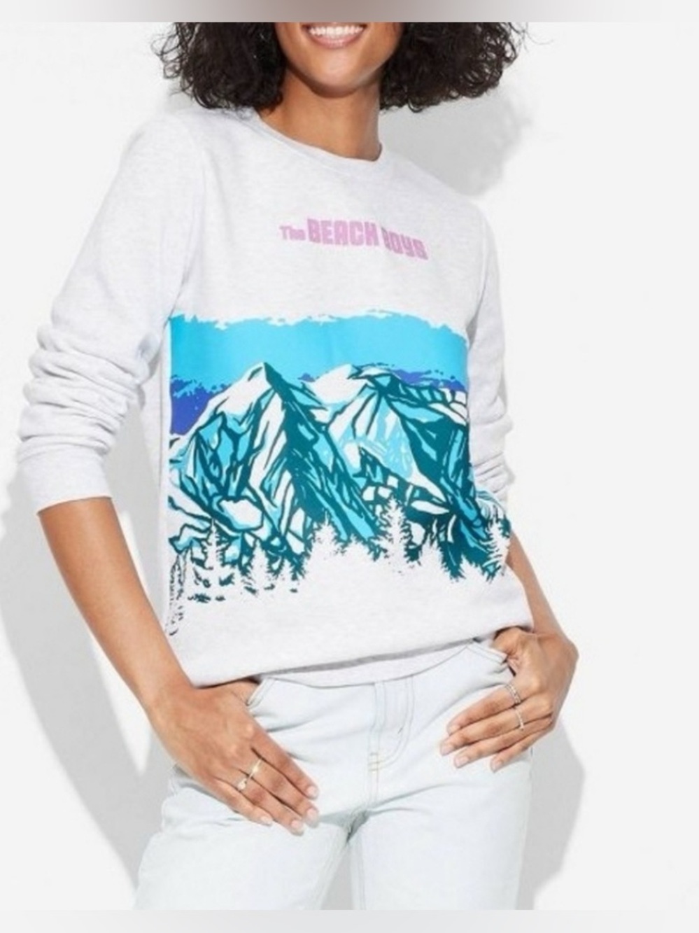 NWOT. Beach Boys Sweatshirt. Heather Gray. size medium.